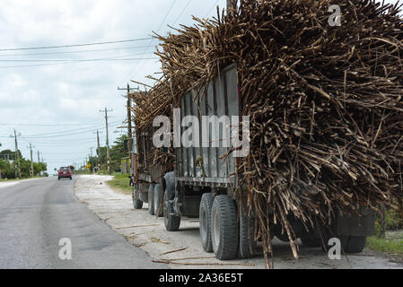 La canne à sucre, complètement chargé sur camion road à Orange Walk, Belize. Banque D'Images