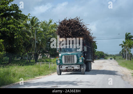 La canne à sucre, complètement chargé sur camion road à Orange Walk, Belize. Banque D'Images