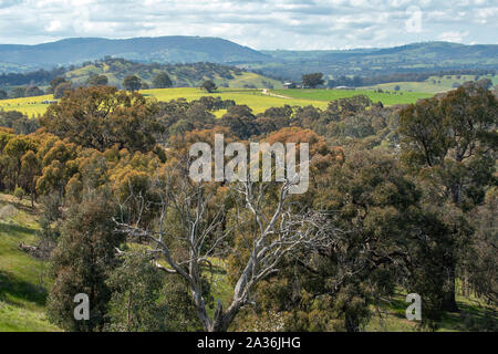 Strathbogies sud de Anzac Hill Lookout, Seymour, Victoria Banque D'Images