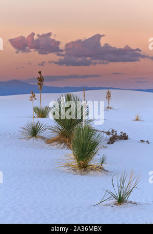 Coucher du soleil dans le White Sands National Monument, Nouveau-Mexique, États-Unis Banque D'Images