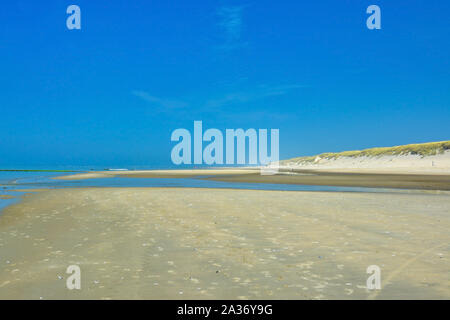 Vue sur la belle plage de quartier appelé 'Paal 9' sur journée d'été avec ciel bleu sur l'île de Texel en mer du Nord des Pays-Bas Banque D'Images