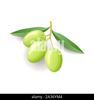 Olives vertes avec des feuilles sur l'icône de la direction générale, de légumes isolé sur fond blanc, vector illustration. Illustration de Vecteur