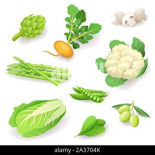 Les légumes frais biologiques isolés ensemble d'icônes, des aliments sains, l'artichaut, navets, champignons, asperges, chou-fleur, les pois, les olives, le chou chinois, les épinards Illustration de Vecteur