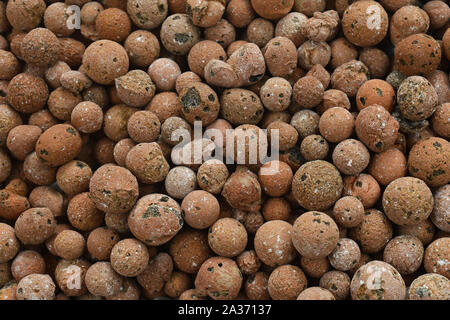 Vue de dessus de l'arrière-plan d'argile ronde marron granulés pour garder les plantes en culture hydroponique semi Banque D'Images