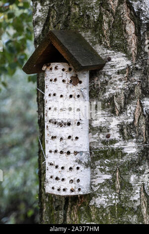 Maison avec beaucoup de trous pour les papillons, les abeilles sauvages, les insectes sur un arbre dans un parc brich Banque D'Images