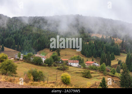 Jour de l'automne nuageux Rhodopes, Bulgarie Banque D'Images