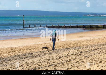 Bournemouth, Dorset UK. 6e octobre 2019. UK météo : ensoleillé et chaud avec une brise, en tant que visiteurs, la tête aux plages de Bournemouth à profiter du soleil. Jeune femme avec cheveux la couleur de la mer balade chien le long de la plage. Credit : Carolyn Jenkins/Alamy Live News Banque D'Images