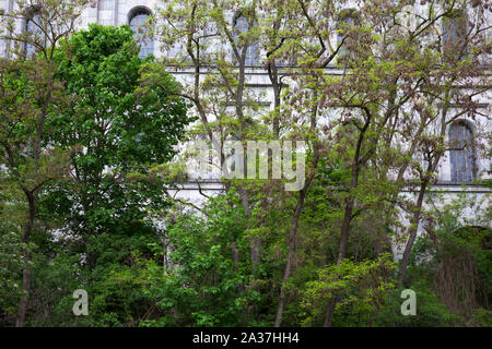 NÜRNBERG - Détail de NSDAP Hitler congress hall vu à travers les arbres d'un parc Banque D'Images