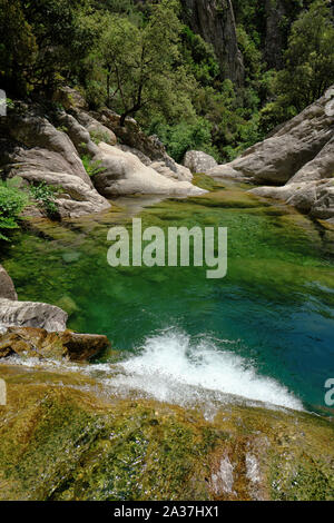 Piscine naturelle dans le Canyon de Purcaraccia / Cascades de Purcaraccia, les montagnes de Bavella, Corse France - Corse montagne canyon paysage. Banque D'Images