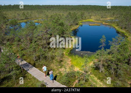 Vue aérienne de touristes en promenade à pied sur la tourbière Viru, le parc national de Lahemaa, Tartu, Estonie Comté Banque D'Images