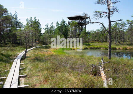 Vue de la tour d'observation dans le parc national de Lahemaa, Tartu, Estonie Comté Banque D'Images