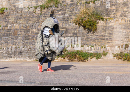 Bournemouth, Dorset, UK. 6 octobre 2019. Les foules affluent à Bournemouth pour la deuxième journée du Festival Marathon de Bournemouth pour encourager et soutenir ceux qui prennent part au marathon et demi-marathon sur A sunny breezy day. Rhino Boy Chris Green Court demi-marathon habillés en costume de rhino pour lever des fonds et faire passer le message pour sauver le rhinocéros. Credit : Carolyn Jenkins/Alamy Live News Banque D'Images