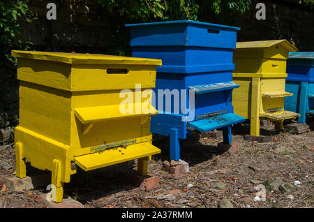 Ruches dans le jardin. L'apiculture. Banque D'Images