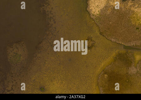Drone de haut en bas vue du marais desséché en été Banque D'Images