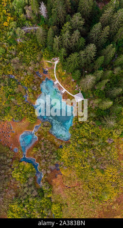 Zelenci Réserve naturelle en Slovénie. Vue aérienne Drone à couleurs d'automne. Des modèles naturels. Banque D'Images