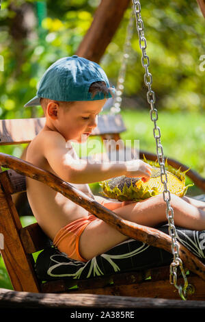 Little Boy holding tête de tournesol mûres. Mignon petit garçon dans une casquette de baseball est assis sur une balançoire. Enfant de manger les graines de tournesol Banque D'Images