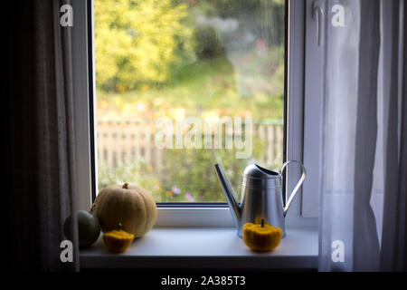 Peu de citrouilles sur le rebord de la fenêtre, il fait beau dehors. Banque D'Images