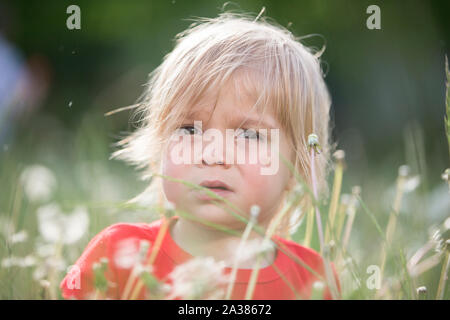 Le visage d'un enfant dans l'herbe verte. Portrait d'un enfant dans la nature.Deux ans bébé dans les pissenlits Banque D'Images