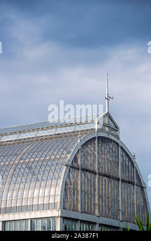 Le palm house à la société Le Jardin du parc de Göteborg et de l'horticulture jardin dans le centre de Göteborg, Suède. Banque D'Images