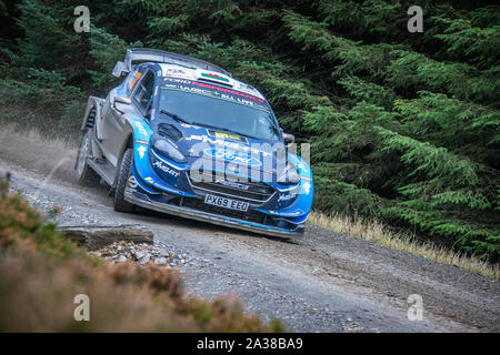 Elfyn Evans (Pays de Galles) en passant par l'étape de Myherin Wales Rally GB en 2019 Ford Fiesta RS WRC World Rally Car Banque D'Images
