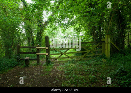 Une porte et montant sur le bord du bois Ebbor au printemps à la Gorge Ebbor National Nature Reserve, collines de Mendip, Somerset, Angleterre. Banque D'Images