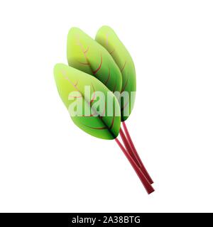 Feuilles de bette à carde fraîche. 3D réaliste vector set feuilles de betterave. Arôme sain. Isolé sur fond blanc. Les herbes et épices de cuisine. Vector Illustration de Vecteur