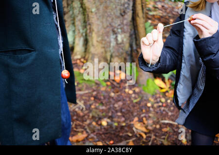 Jouer a des jeux traditionnels de conkers dans un boisé au Royaume-Uni. Banque D'Images