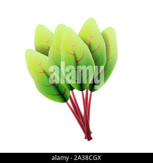 Feuilles de bette à carde fraîche. 3D réaliste vector set feuilles de betterave. Arôme sain. Isolé sur fond blanc. Les herbes et épices de cuisine. Vector Illustration de Vecteur