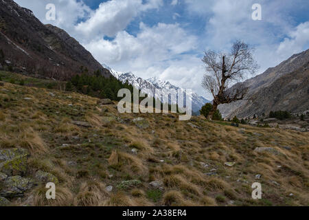 Kinnaur Kailash, montagne, montagnes, Chitkul. Banque D'Images