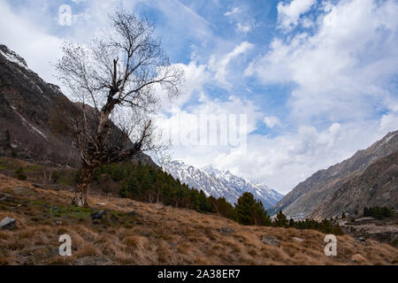 Kinnaur Kailash, montagne, montagnes, Chitkul. Banque D'Images