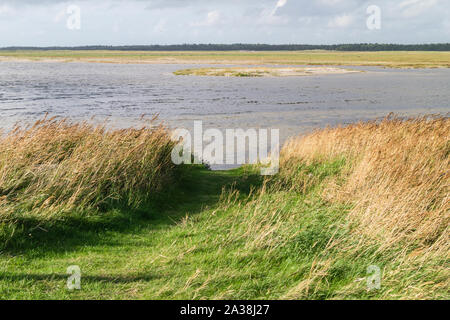 Ho Blavand Skallingen Danemark Banque D'Images