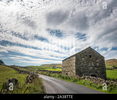 Ancienne grange en pierre du Yorkshire à Mallerstang Dale avec des sangliers a pris du retard, Yorkshire Dales National Park, UK landscape Banque D'Images