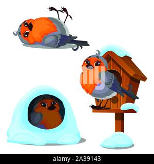 Oiseau mignon se trouve dans une cabane en bois isolé sur un fond blanc. Maisons d'hiver sont créés pour la faune. Cartoon Vector illustration close-up. Illustration de Vecteur