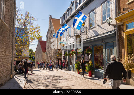 La ville de Québec, Canada - 5 octobre 2019 : drapeaux du Québec sur la rue Notre-Dame. Banque D'Images