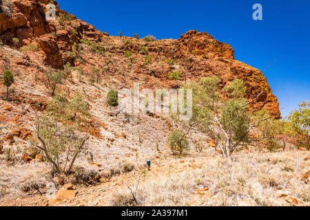 Un male hiker promenades en NDhala Gorge, une partie à distance de l'East MacDonnell Ranges en Australie centrale. Banque D'Images