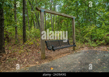 Vue latérale d'un banc de parc sur les sentiers dans la forêt libre pendant la journée à l'automne Banque D'Images