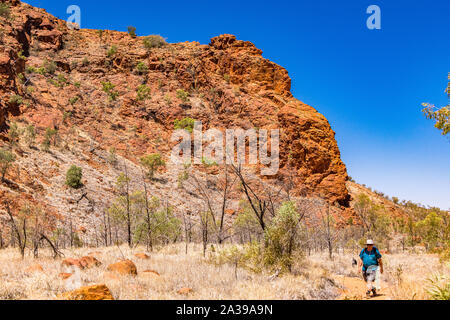 Un male hiker promenades en NDhala Gorge, une partie à distance de l'East MacDonnell Ranges en Australie centrale. Banque D'Images