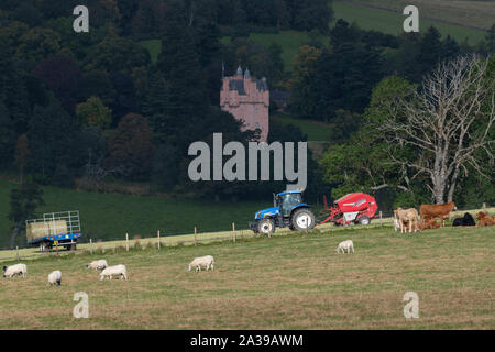 Une remorque chargée de la moitié attend alors qu'un fermier foin balles avec des moutons et des vaches paissant dans le champ suivant dans la campagne écossaise près de Craigievar Castle Banque D'Images