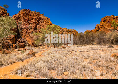 N'Dhala Gorge, dans l'Est des MacDonnell, Territoire du Nord, Australie Banque D'Images