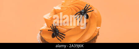 Halloween savoureux petit gâteau avec les araignées isolé sur orange, vue panoramique tourné Banque D'Images