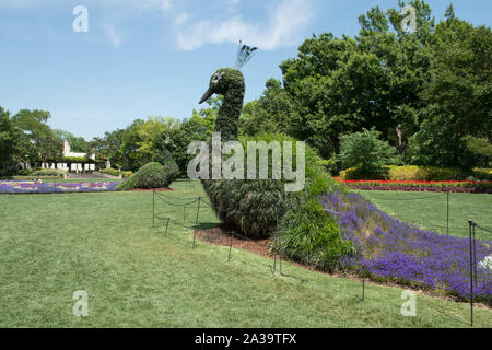 Scène de la 66-acre Dallas Arboretum and Botanical Garden à Dallas, Texas Banque D'Images