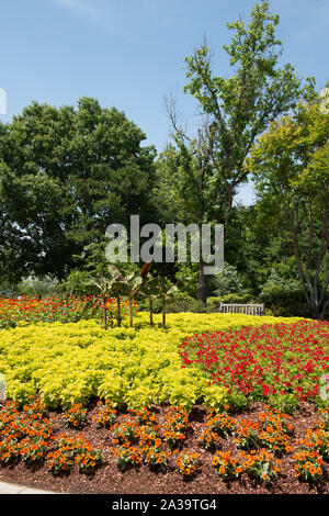 Scène de la 66-acre Dallas Arboretum and Botanical Garden à Dallas, Texas Banque D'Images