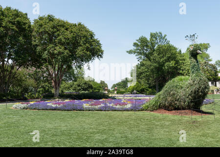 Scène de la 66-acre Dallas Arboretum and Botanical Garden à Dallas, Texas Banque D'Images