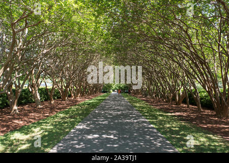 Scène de la 66-acre Dallas Arboretum and Botanical Garden à Dallas, Texas Banque D'Images