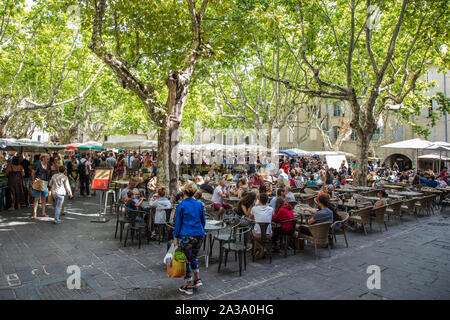 Uzès, France. 21 août, 2019. Le mercredi à la Place du Marché-aux-Herbes, qui est à une plus petite échelle que le marché du samedi et est très populaire Banque D'Images