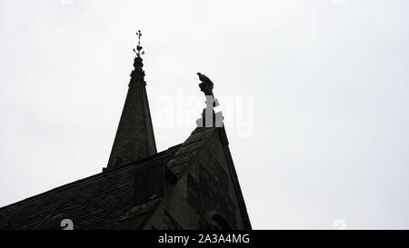 Une sombre, atmosphérique, moody éditer d'un oiseau posé sur le haut d'une croix au sommet d'un toit de l'église de l'époque victorienne, avec sa flèche derrière. Avec l'exemplaire blanc espace. Banque D'Images