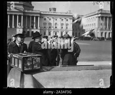 S. Royal Copeland, sénateur, gauche et rempl. Anning S. Prall de N.Y. publie 2 de pigeons voyageurs les plus rapides dans le monde de la place devant le Capitole Banque D'Images