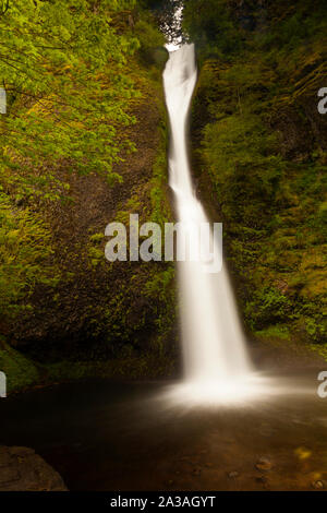 La prêle Falls, Columbia River Gorge, Oregon, USA Banque D'Images