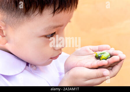 Un enfant tenant une chenille verte dans sa main. Caterpillar sur les mains avec l'arrière-plan flou. Close up beau thé vert Caterpillar. Banque D'Images