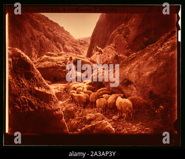 Ensemble de treize sélectionnez diapositives illustrant la vie de berger 23e Psaume. Oui, le bonheur et la miséricorde Banque D'Images